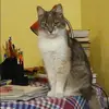 Отзыв от Эльвира Нестерова